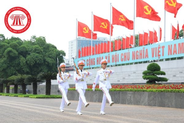 Pháp luật