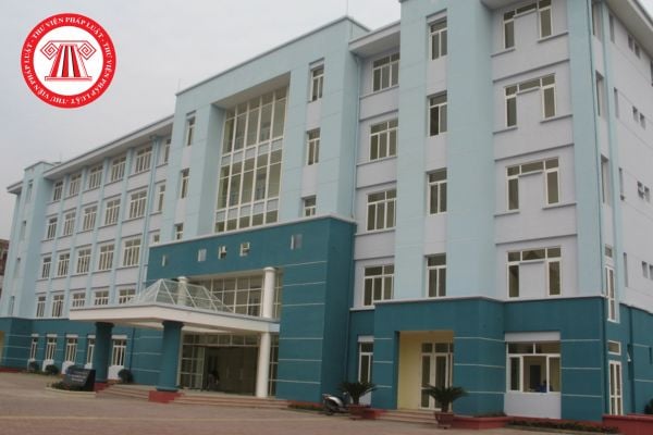 Pháp luật