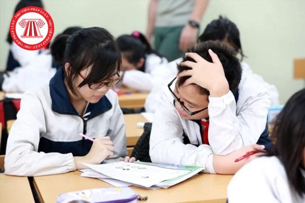 Pháp luật