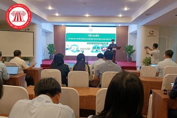 Pháp luật
