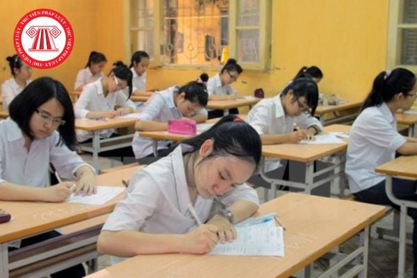 Pháp luật
