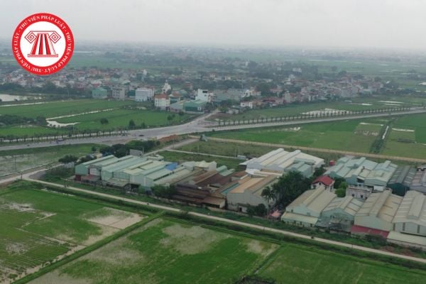 Pháp luật