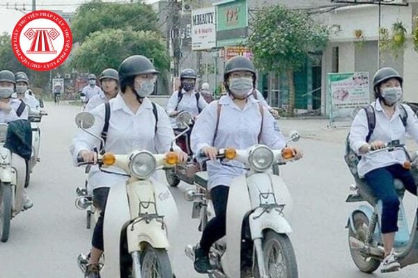 Pháp luật