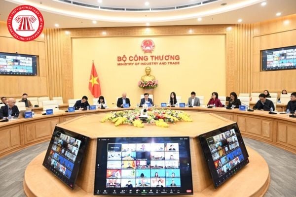 Pháp luật