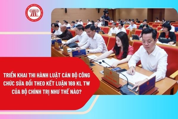 Pháp luật