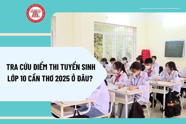 Pháp luật