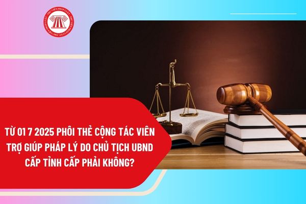Pháp luật