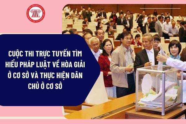 Pháp luật