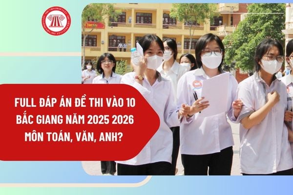 Pháp luật