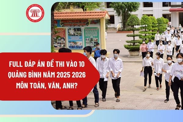 Pháp luật