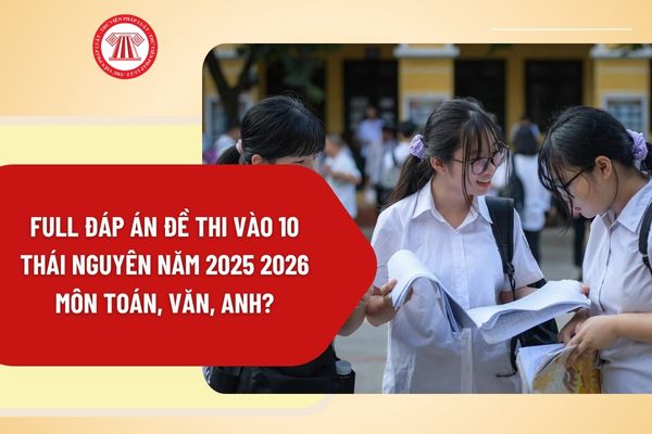 Pháp luật