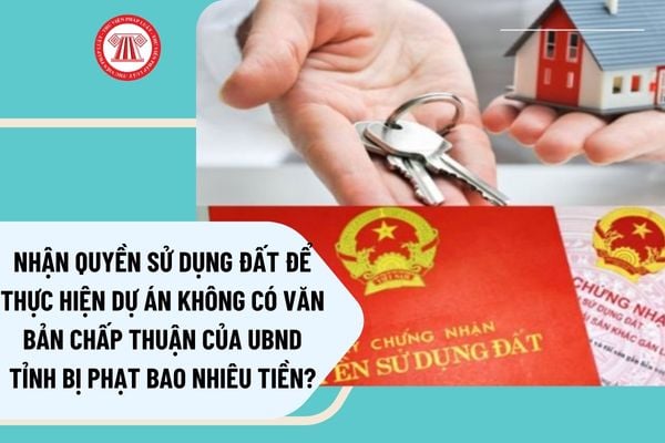 Pháp luật