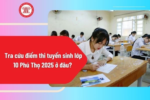 Pháp luật