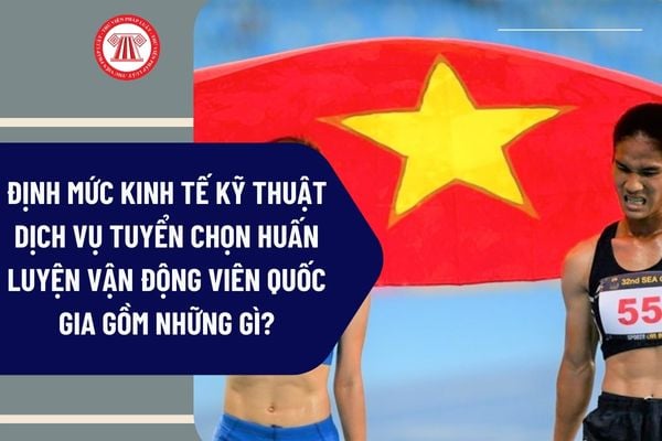 Pháp luật