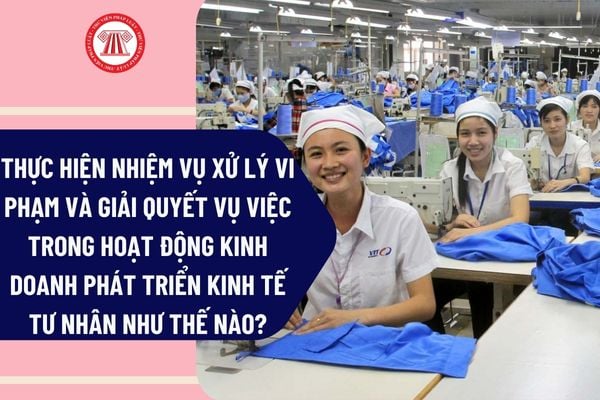 Pháp luật