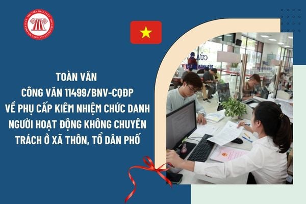 Pháp luật