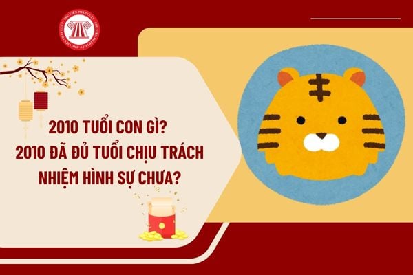 2010 tuổi con gì? Sinh năm 2010 đã đủ tuổi chịu trách nhiệm hình sự chưa? Xác định tuổi của người bị buộc tội, người bị hại là người dưới 18 tuổi?