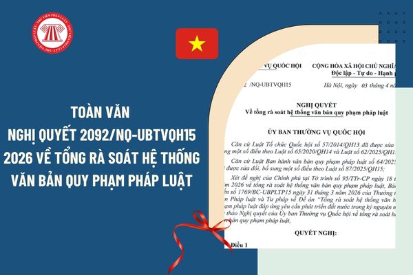 Pháp luật