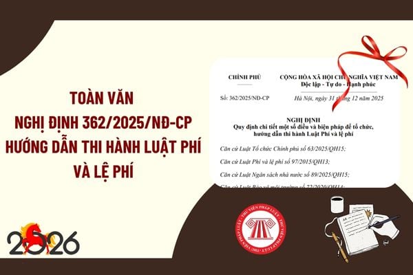 Pháp luật