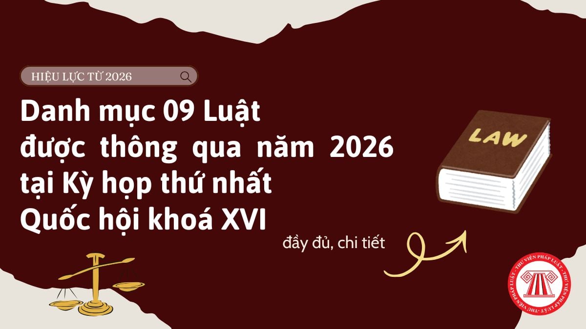 Pháp luật