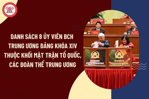 Pháp luật