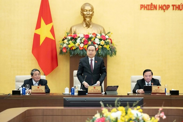 Pháp luật