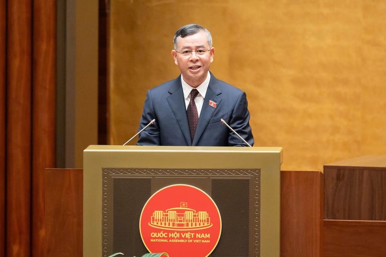 Pháp luật