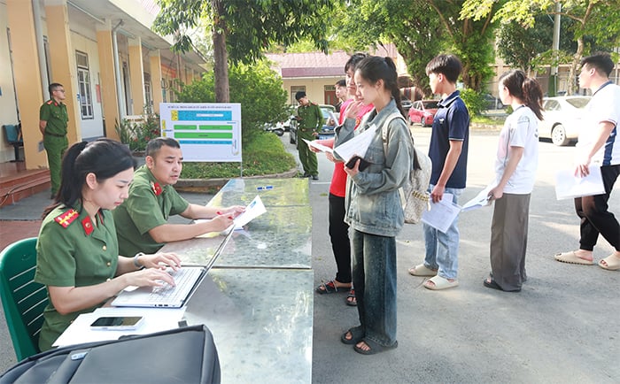 Pháp luật