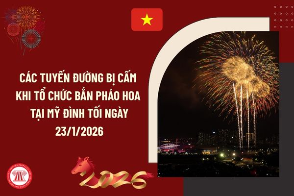 Pháp luật