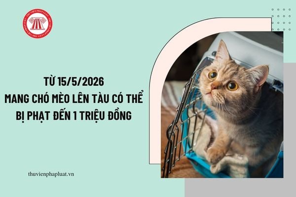 Pháp luật