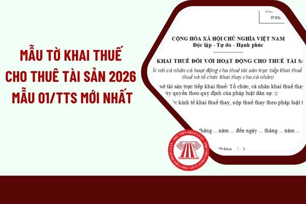 Pháp luật