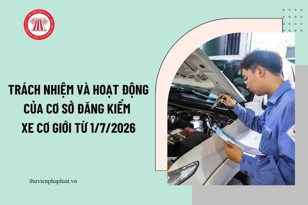 Pháp luật