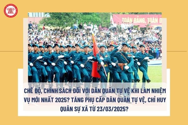 https://cdn.thuvienphapluat.vn/phap-luat/2022-2/NHN/dan-quan-tu-ve.jpg