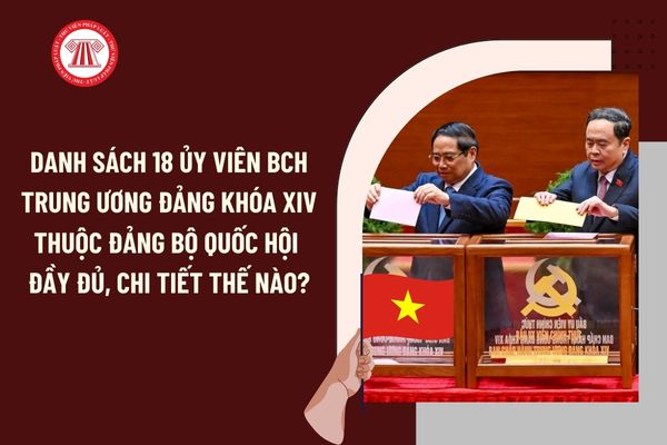 Pháp luật