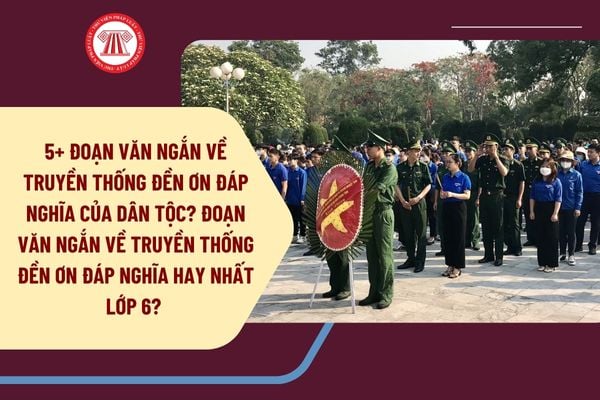 5+ đoạn văn ngắn về truyền thống đền ơn đáp nghĩa của dân tộc? Đoạn văn ngắn về truyền thống đền ơn đáp nghĩa hay nhất lớp 6? 