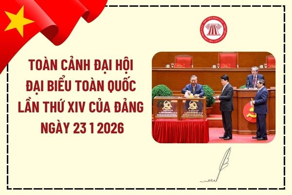 Pháp luật