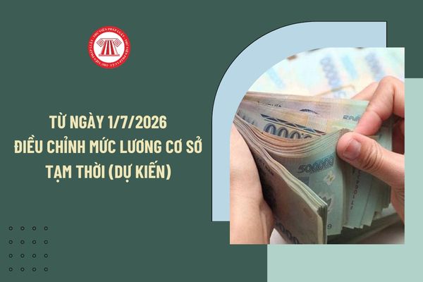 Pháp luật