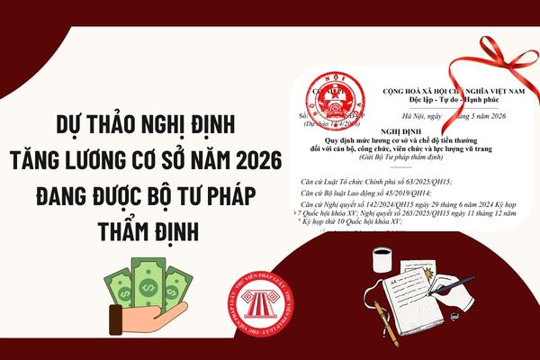 Pháp luật