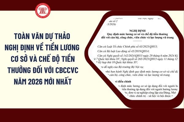 Pháp luật