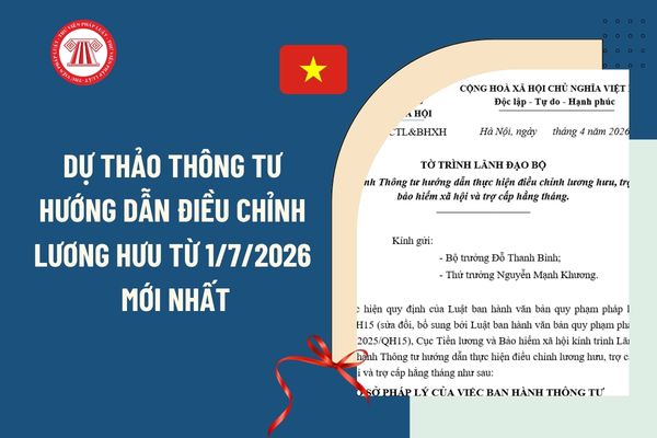 Pháp luật