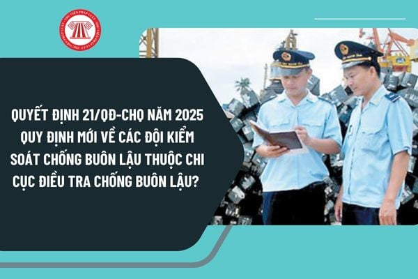 Quyết định 21/QĐ-CHQ về chức năng, nhiệm vụ và quyền hạn của các Đội Kiểm soát chống buôn lậu thuộc Chi cục Điều tra chống buôn lậu?