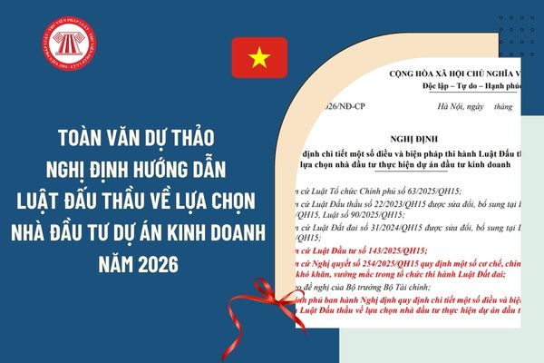 Pháp luật
