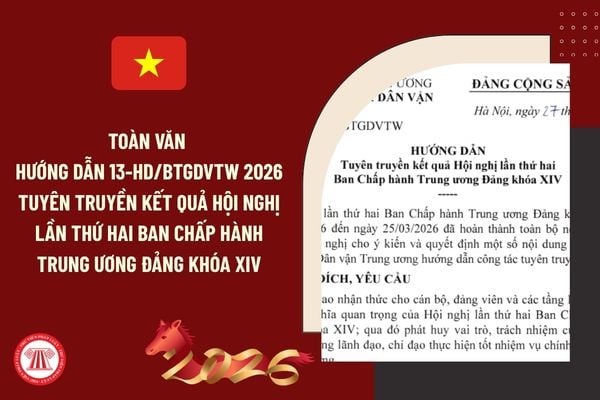 Pháp luật