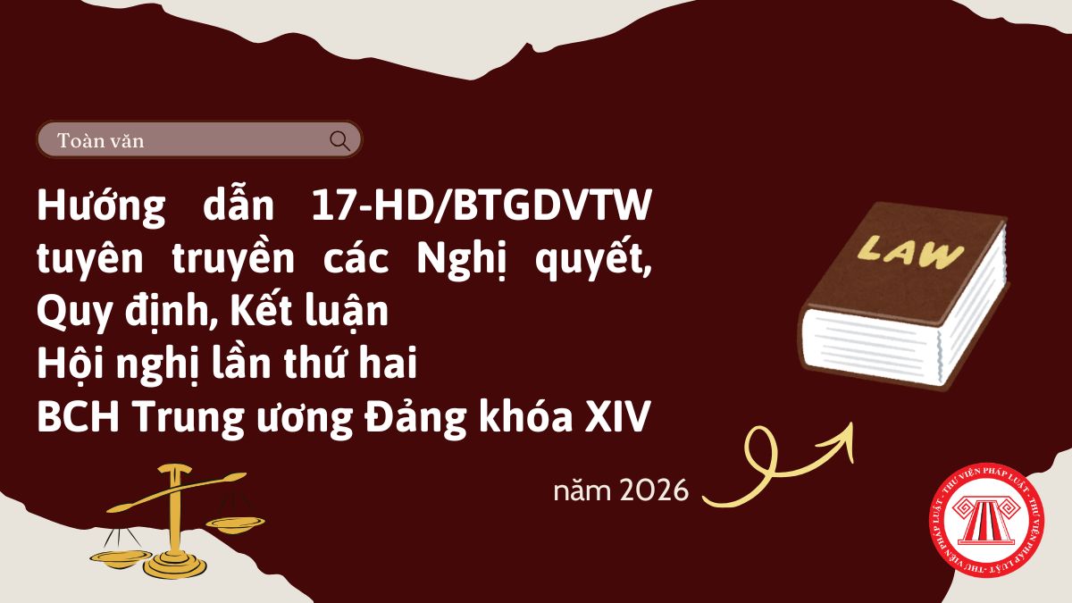 Pháp luật