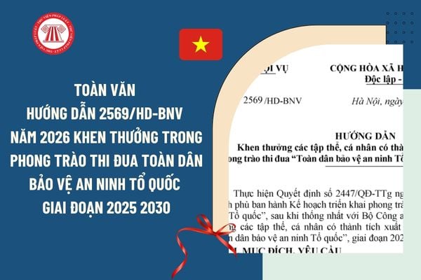 Pháp luật