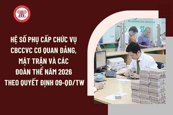 Pháp luật