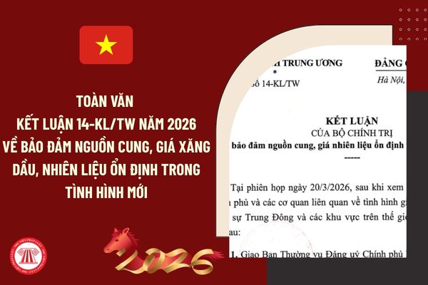 Pháp luật
