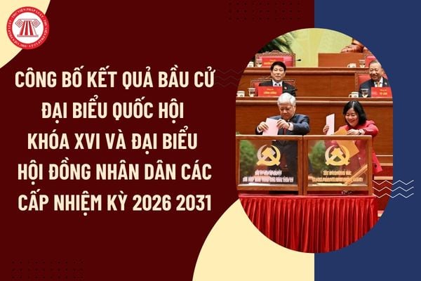 Pháp luật