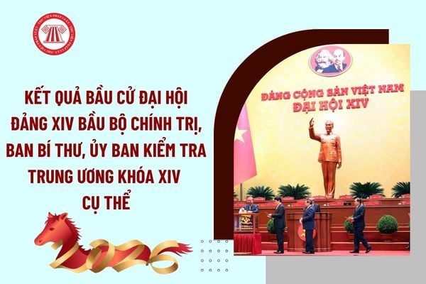Pháp luật