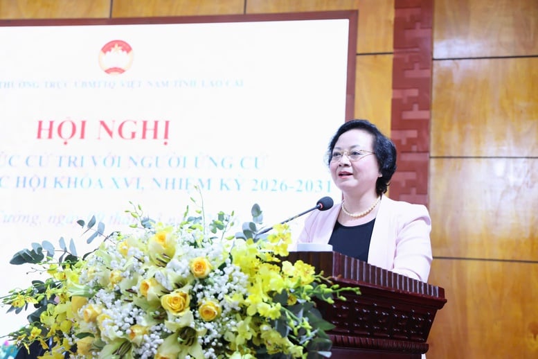 Pháp luật